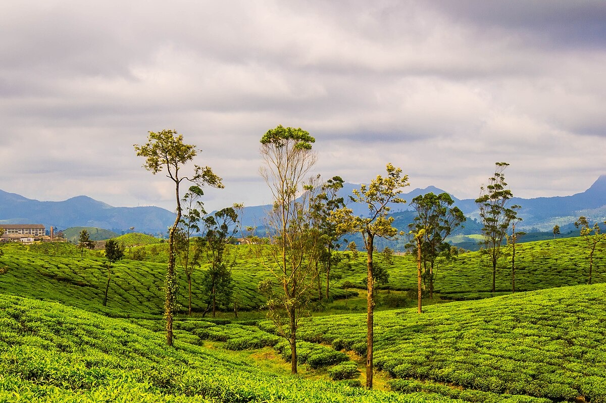Day 05: Kodaikanal - Valparai (200 km / 5-6 hrs)